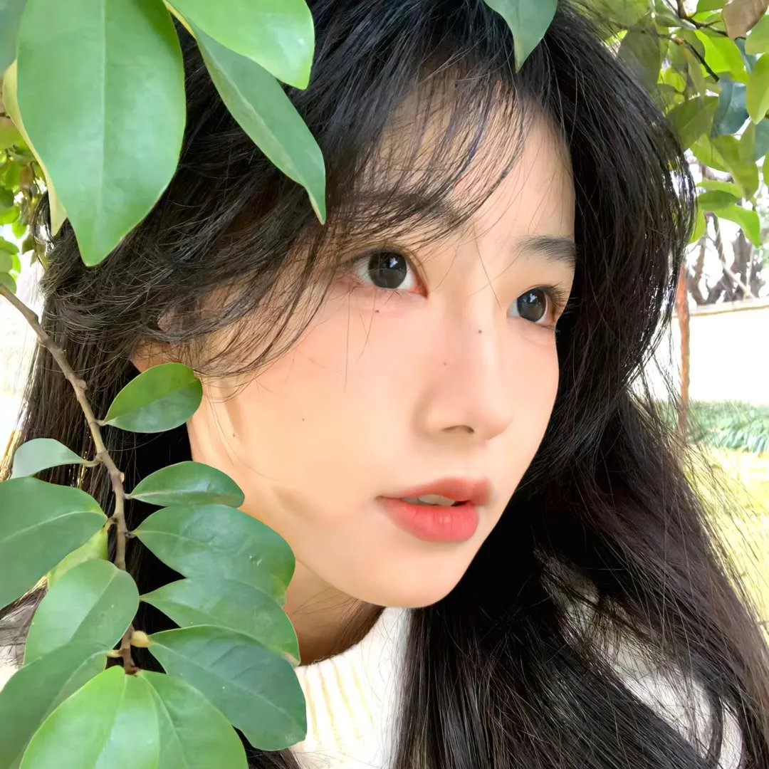 小鱼儿与花无缺